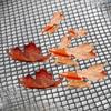 Plastic Leaf Guard Net for Gutters - Anti-Clogging Garden Accessory