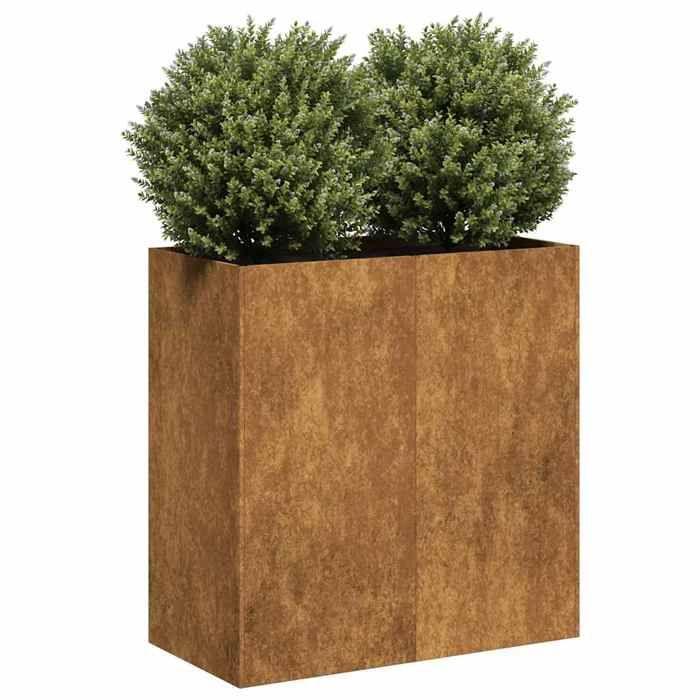 VidaXL Jardinière rouillé 80x40x80 cm acier inoxydable, pot de fleurs, support de plantes, lit surélevé, support de 860716