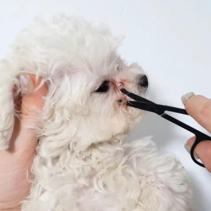 Tear Stain Remover for Dogs and Cats Pet Facial Cleaning Comb Grooming Tool to Remove Eye Boogers Tear Stains and Dirt Wooden