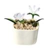 Miniature Glass Flower Figurine Hand Blown Mini Flower Bouquet in Pot Collectible Blooming Flower Ornament for Home Indoor Table Decor