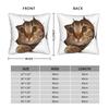 Sweet Kitten Torn Cloth Cat Lover Cat Owner Cat Lady Pillowcase Cushion Cover Decorations Throw Pillow Case Cover Home Zipper