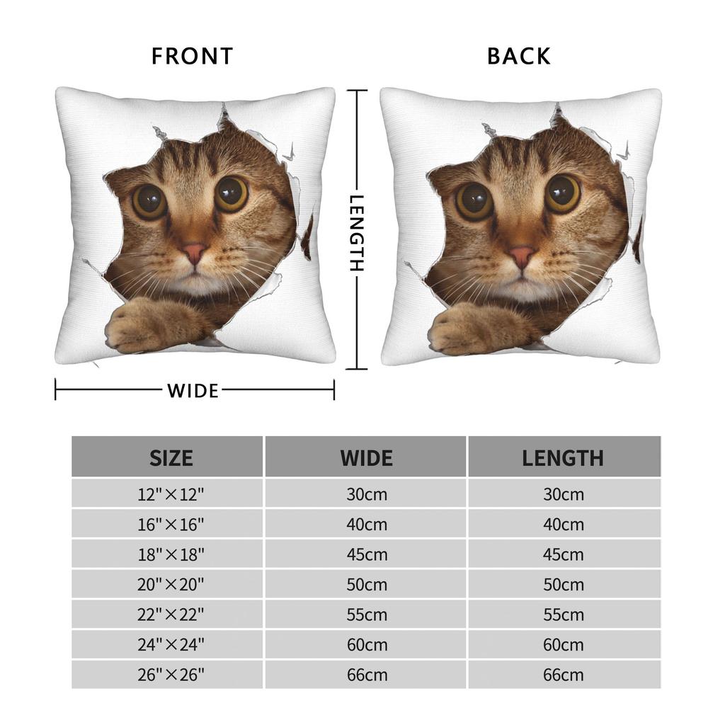 Sweet Kitten Torn Cloth Cat Lover Cat Owner Cat Lady Pillowcase Cushion Cover Decorations Throw Pillow Case Cover Home Zipper