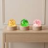 LED Wood Stand Luminous Crystal Ornaments Shiny Glaze Beads Glass Sphere Figurine  Home Decoration
