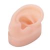 Silicone Ear Model Artificial Ear Display for Hearing Aids Wearing Demonstration (Right)
