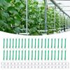 40pcs Tomato Support Hooks With String Garden Hooks To Support Climbing Plants Stem Fixing Holder With 40 Clips For Cucumber