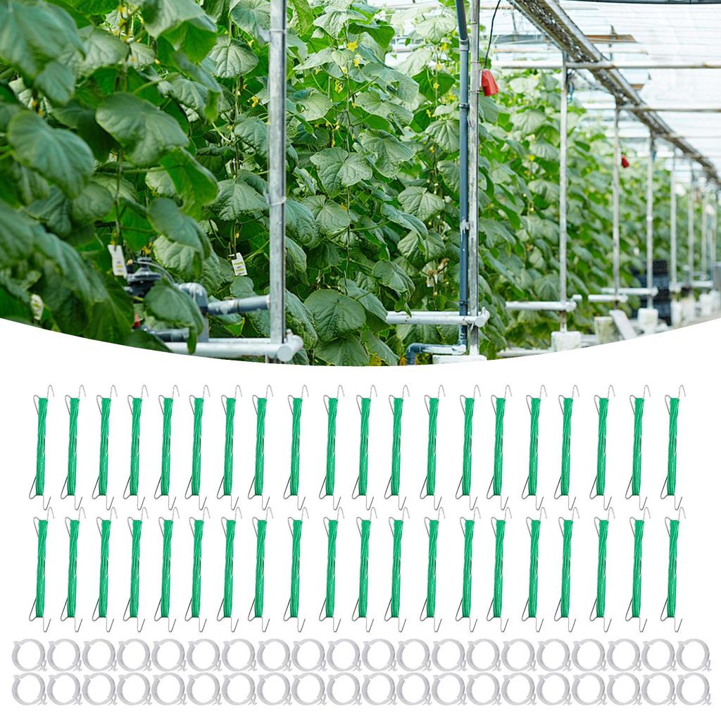 40pcs Tomato Support Hooks With String Garden Hooks To Support Climbing Plants Stem Fixing Holder With 40 Clips For Cucumber
