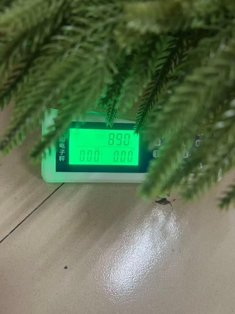 Christmas Norfolk Wreath PE Soft Rubber Texture Needles And Pinevine Christmas Decoration