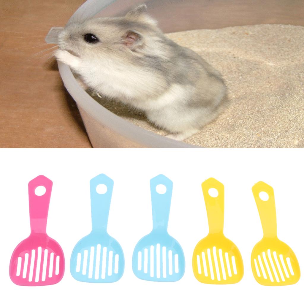 Buy 5Pcs Pet Hamster Gerbille Poop Scooper Poo Shovel Bath Sand Clean