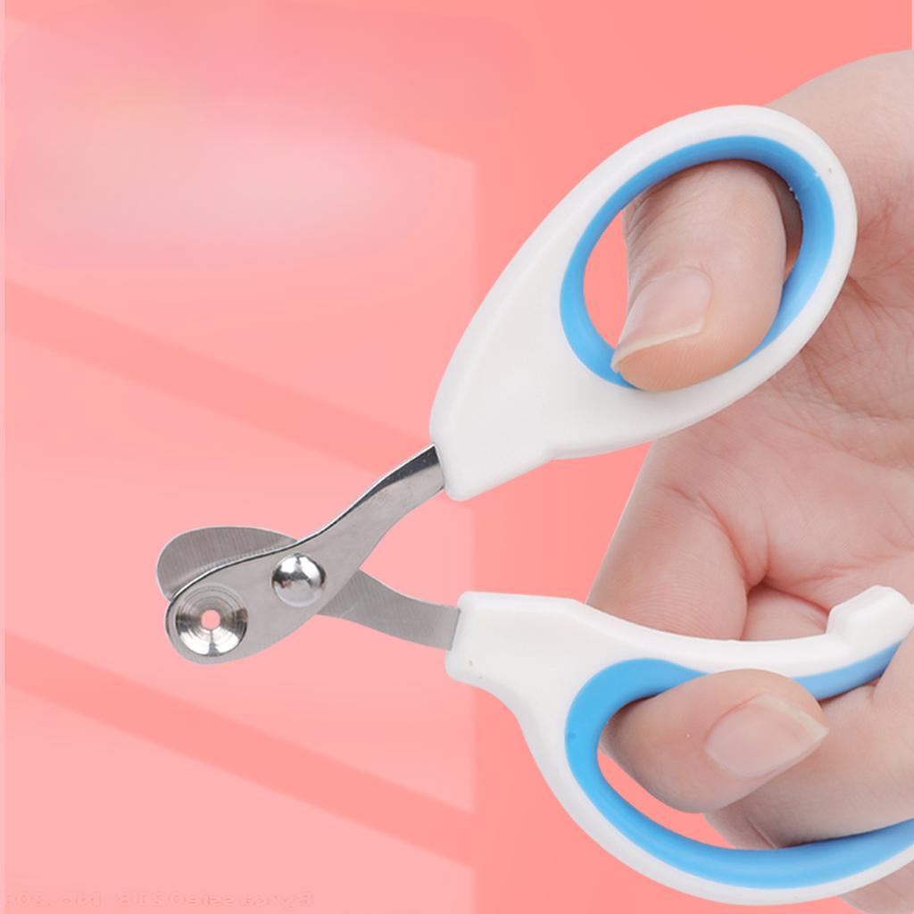 Pet Supplies: Anti-bleeding Nail Clippers for Cats, Small Dog Nail Clippers for Pets and Dogs, Care Scissors