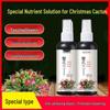 Ready-to-Use Nutrient Solution for Christmas Cactus and Indoor Plants—No Dilution Needed, Ideal for Flowers and Green Foliage.