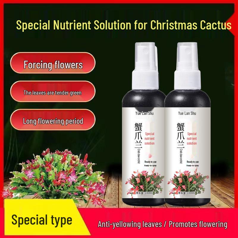 Ready-to-Use Nutrient Solution for Christmas Cactus and Indoor Plants—No Dilution Needed, Ideal for Flowers and Green Foliage.