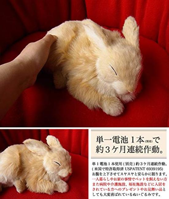 Ninian and Kino Perfect Pet Rabbit Plush Perfect Cute Bunny (Small) (Beige) Toy, Realistic, Lifelike, Animal, Soothing, Moving, Gift, Celebration,
