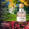 Car Aromatherapy Perfume: Long-lasting Indoor Diffuser for Rooms, Toilets, and Bathrooms