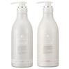 Demi Flowdia Deep Moist Shampoo 550ml Treatment 550g Pocket Tissue Salon Exclusive Hair Care & Set, Set,