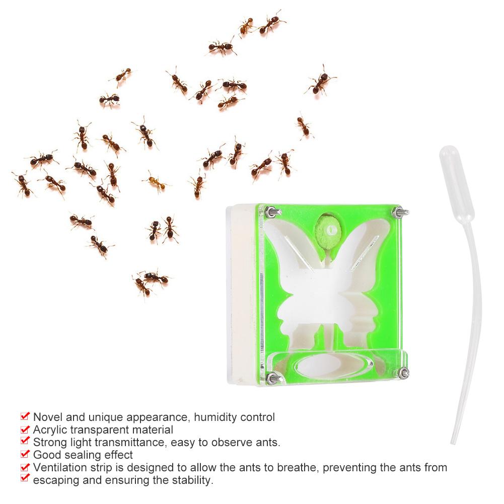 Ant Workshop Self Controlled Humidity Ant Nests Castle Ant Home Acrylic Ant Nests