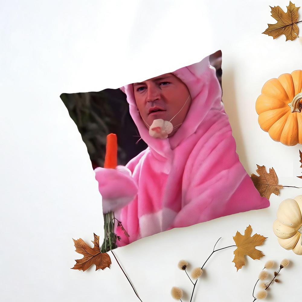 CChandler Bing Cushion Cover Washable Linen Pillowcase Soft for Daily Sofa Bed Home Room Decor