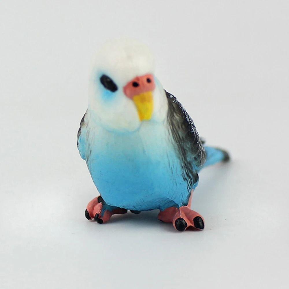 Miniatures Bird Figurines Educational Budgerigar Toy Collectible Simulated Budgie Parrot  Office
