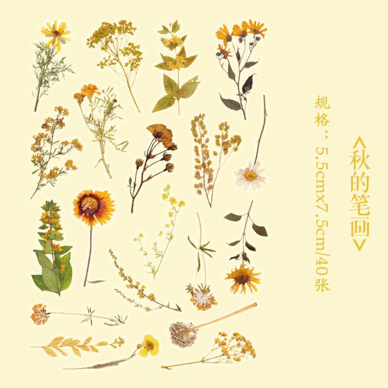 40 Pcs Kawaii Creative Flower Plant Stickers Hand Tent DIY Stick Labels Scrapbooking Material Junk Journal Supplies