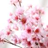 Simulation Flower Peach Blossom Artificial Decorative Blossom Flower for Home Indoor Outdoor Decor