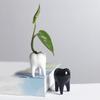 Ceramic Fleshy Plant Pot Tooth Shape Cartoon Ceramic Fleshy Plant Cactuses Flower Planter Home Desk Gardening Accessory