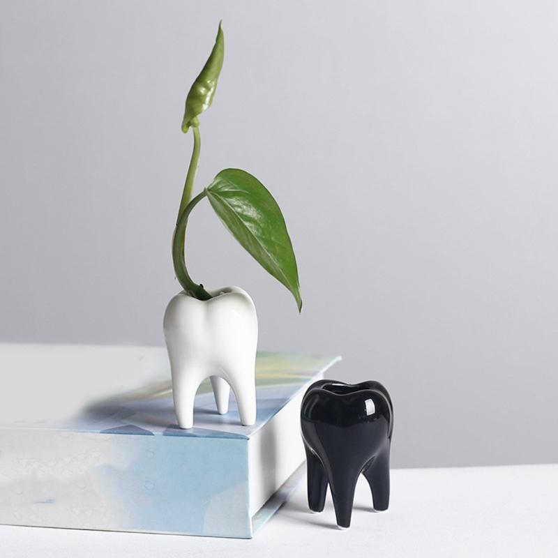 Ceramic Fleshy Plant Pot Tooth Shape Cartoon Ceramic Fleshy Plant Cactuses Flower Planter Home Desk Gardening Accessory