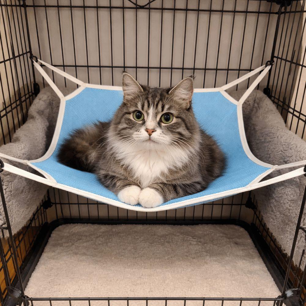 Comfortable Cat Hanging Hammock Breathable Mesh Hanging Sleeping Bed for Cats and Dogs