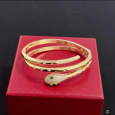 Snake Bracelet with Full Diamond Studs Suitable for Daily Wear By Both Men and Women Birthday Gift Gifts for Men and Women