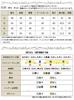 [Gold Japan] Plus Size Women's Tunic, Long Sleeve, Camisole, Voluminous Sleeves, Spring Outfit, Summer, Autumn, Maru-30180, 5L, Navy
