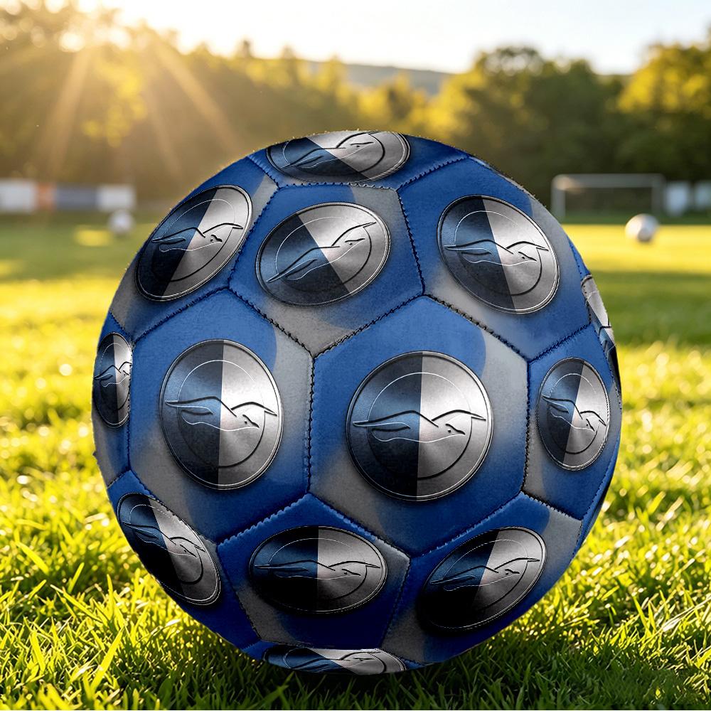 Brighton & Hove Albion FootballPrinted Size 5 Soccer Blbion Football, Anti Slip Adult Match Football Souvenir for Football Fans
