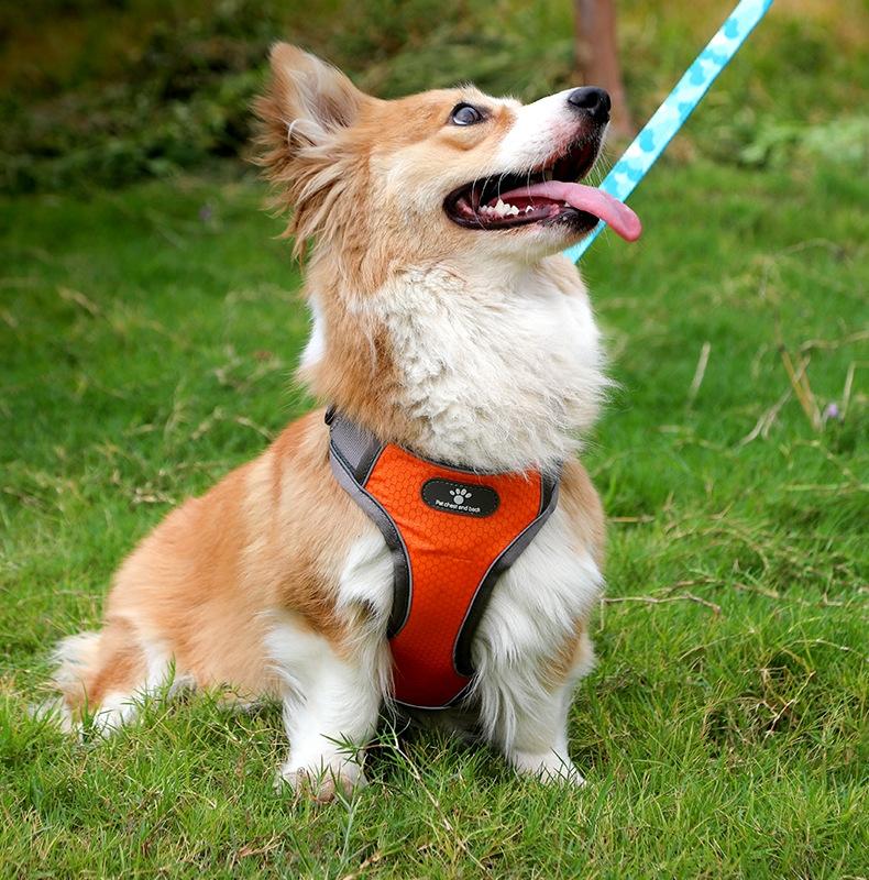 Astro Orange Dog Training Harness For Walking, Size S