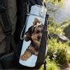 1PC Fluffy Faced Yorkie Puppy 750ml Color Plastic Sports Water Bottle Leakproof Flip Straw Lid Suitable for Sports Office Home Use