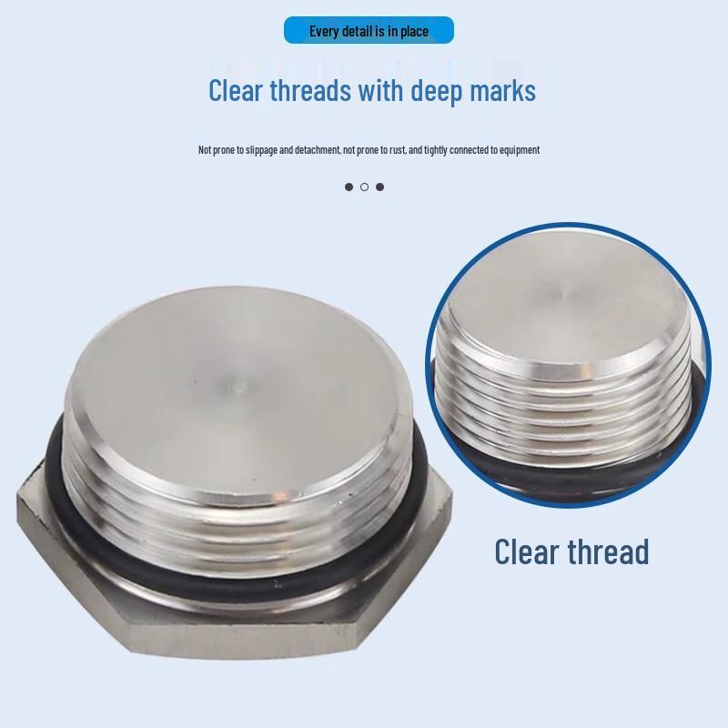 Kedehe DN50 Stainless Steel Male Thread Sealing Plug CN plug (adapter included)