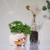 Face Planter Pots For Indoor Plants Cute Guitar Plant Pot, Smiley Face Flower Pots Succulents Planter Gift Ideal
