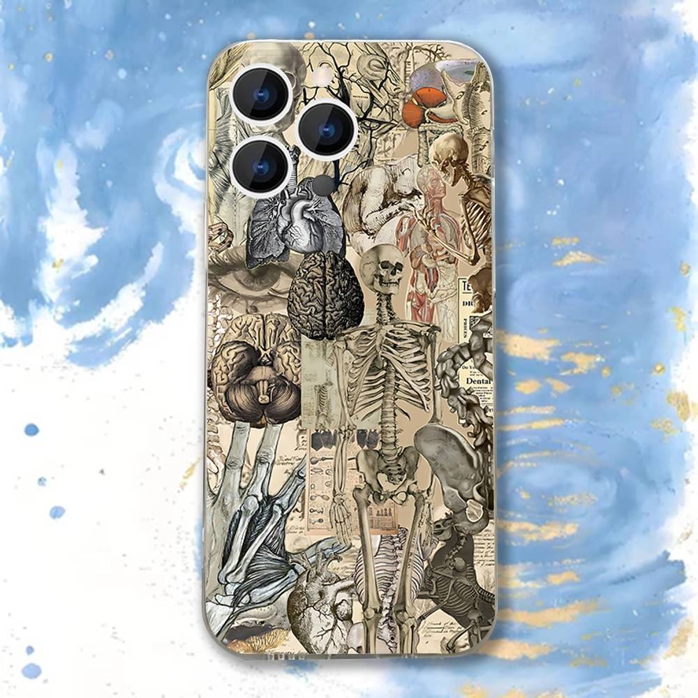 Medical Human A-Anatomy Clear Phone case suitable for iPhone 11 12 13 14 15 16 17 Pro Max Plus X XS XR SE E Mini Protective Case