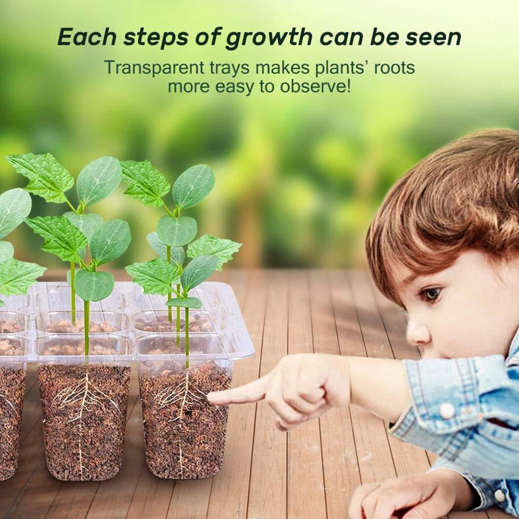 Seeds Starter Tray 6 Cells/12 Cells Seeds Germination Tray with Adjustable Humidity Vent Plant Nursery Box for Indoor Garden Bonsai Seedlings Starting