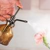 Vintage-Gießkanne aus Glas, Retro-Luftdruck-Sprühflasche, Bewässerungsflasche für Gartenpflanzen, Haushaltssprinkler, Desinfektionswerkzeug