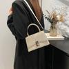 Autumn Shoulder Crossbody Handbag Niche Design Bag Women's New Personalized Small Square Bag