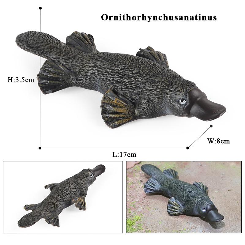 Oenux Classic Australian Wild Animals Kangaroos Koala Platypus Tasmanian Devil Echidna  Cassowary Model Figurine Toy Kid Gift