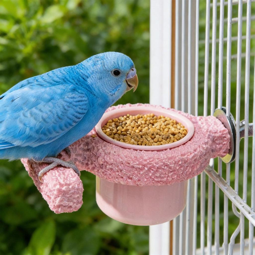 Bird Cage Feeder Bird Bowl Cage Feeder With Perch Cockatoo Food Bowl For Conure Parakeet Cockatoo Canary Cockatiel