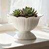 Vaso Fioriera Mini Rotondo in Plastica Contenitore per Piante da Scrivania Vintage per Erbe Drenaggio Pronto Fioriera da Interno/Esterno per Casa Ufficio Giardino