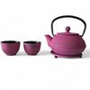 Cast Iron Kettle 0.8L Infuser Tea Strainer + 2 Cups + Tray