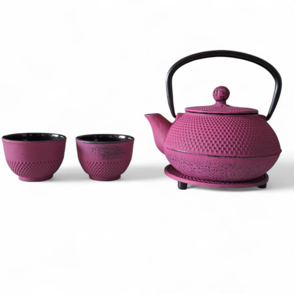 Cast Iron Kettle 0.8L Infuser Tea Strainer + 2 Cups + Tray