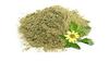 BSD Organics Karisalankanni Pulver/Bharangaraj/Eclipta prostrata/Falsche Gänseblümchen/Guntagalagara Aaku Pulver - 100 Gramm