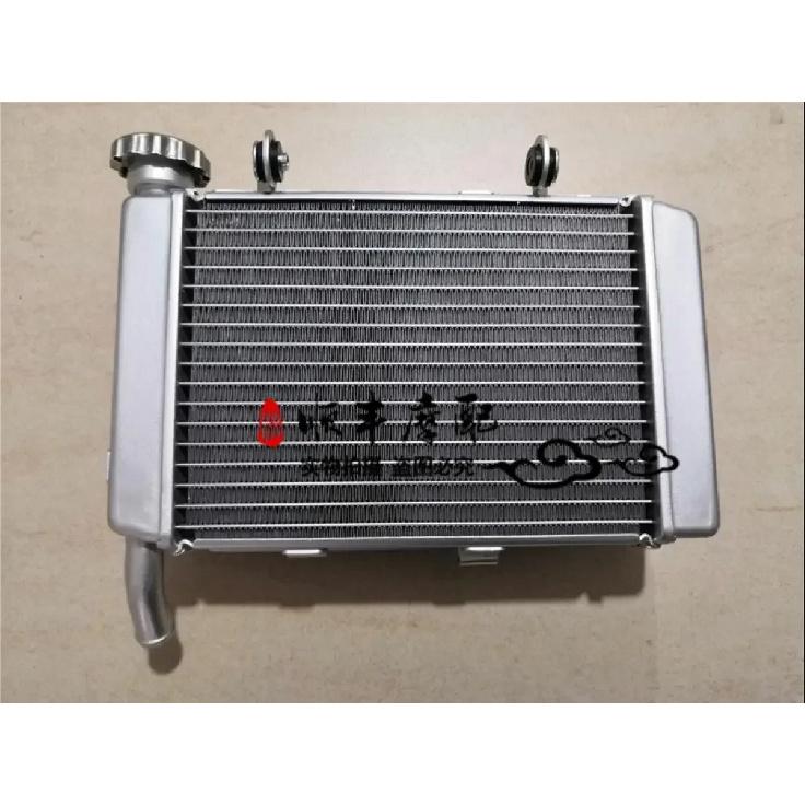 Radiator water cooling system water cooler of Benelli TNT250 BJ 250-15 15A 15E Benelli water tank