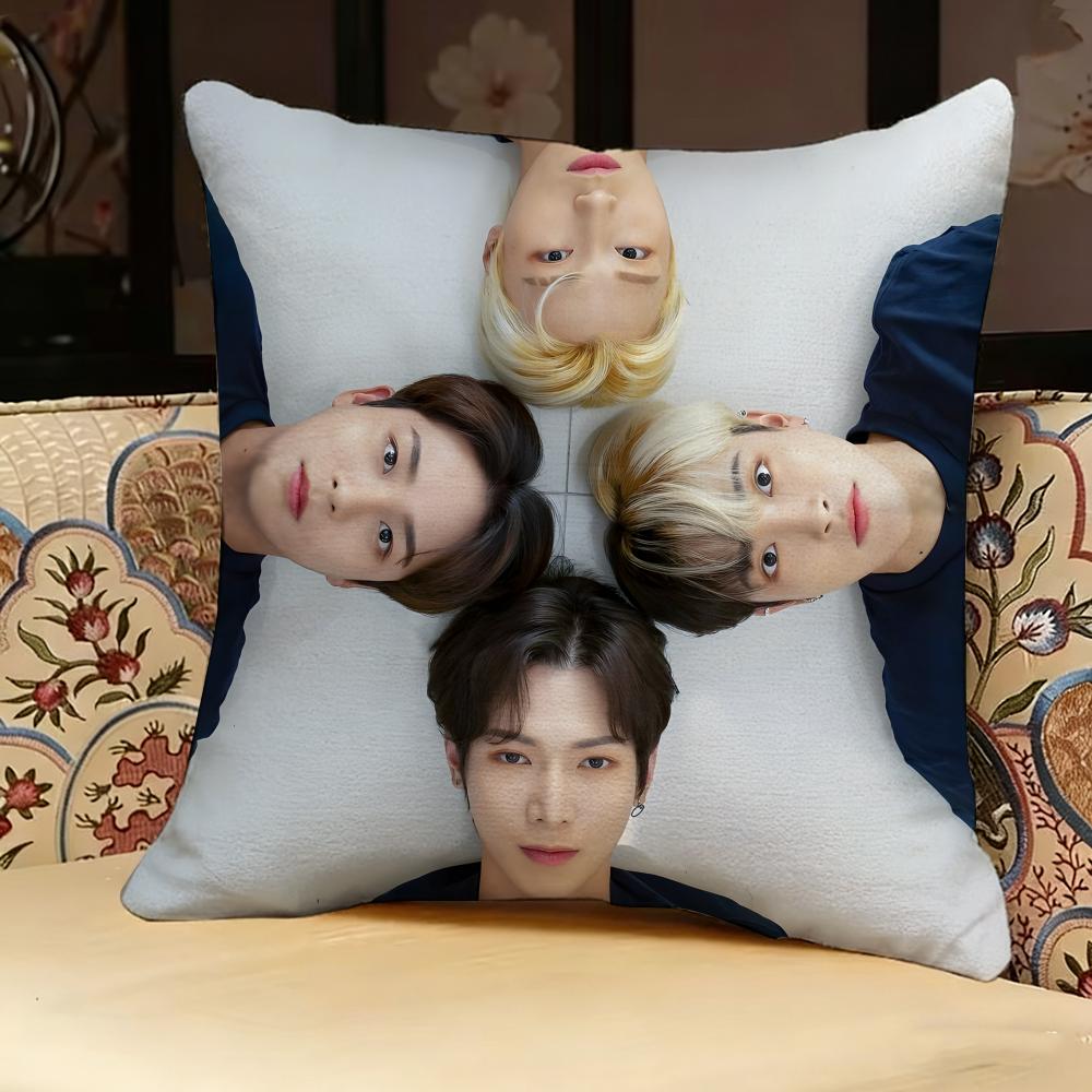 AaTEEZ Singer Pillow Case Pillowcase Doublesided Printed Sofa Cushion Bedroom Headboard Pillow