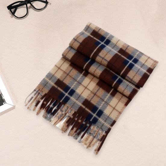 Unisex Winter Scarf Color Matching Plaid Print Tassel Thick Warm Soft Double-sided Plush Long And Wide Keep Warm Neck Protection Lady Fall Scarf