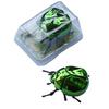 1 Piece Scarab Beetle Children'S Plastic Animals Toy Wind Up Beetle Bionic Toys Creative Prankster Animated Insect Model