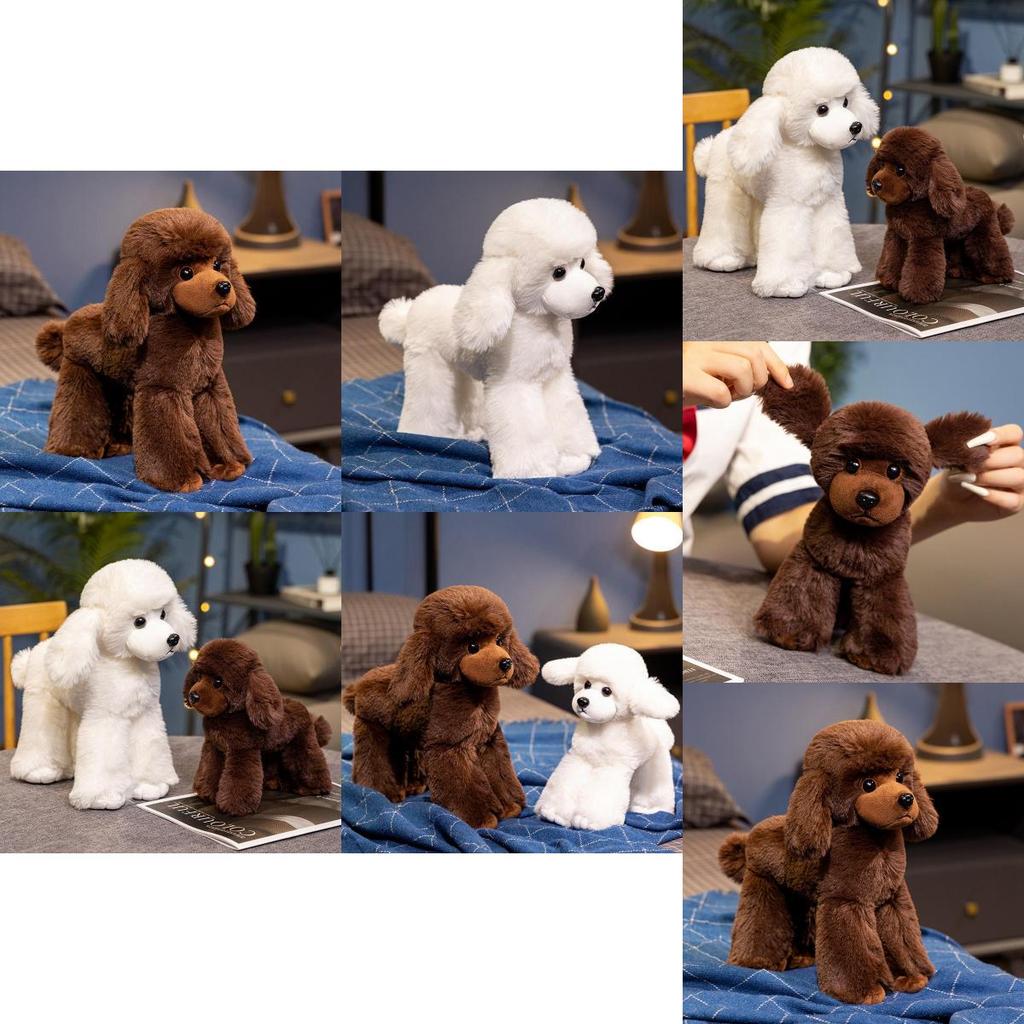 Pelúcia Gigante de Poodle Cão Figura Animal Para Presente de Crianças Edição de Colecionador