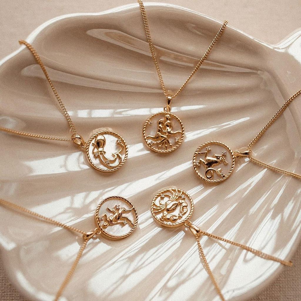Women's Jewelry Straps Titanium Steel Vintage Shell Zodiac Coin Necklace Gifts for Girlfriends