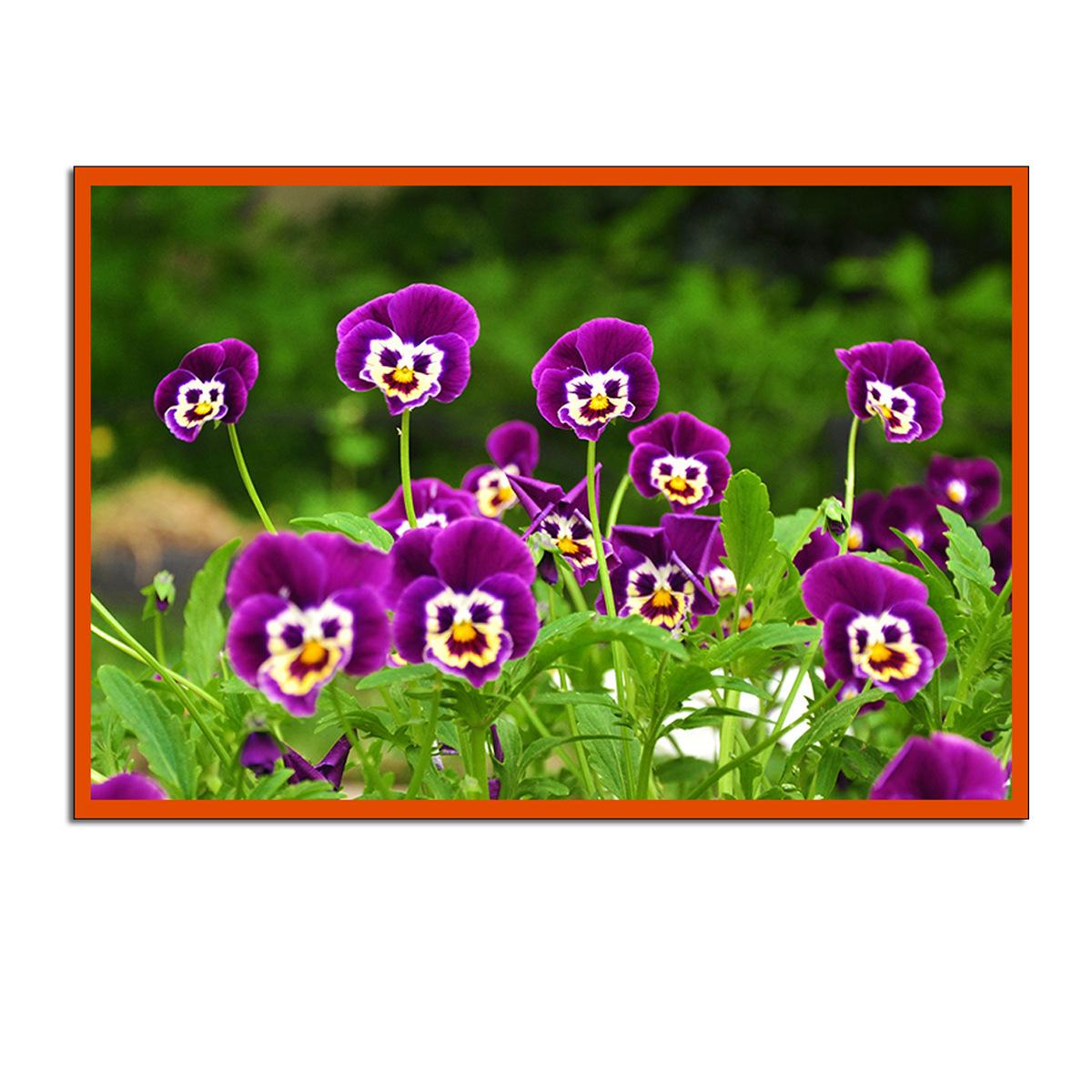 

Пурпурная Фиалка Триколор L. Настенная живопись, современное настенное искусство, фиолетовые цветы, украшение дома, холст, картина, домашний декор, пары фрески 21*30cm